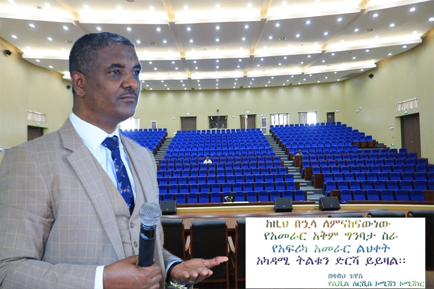 Read more about the article The African Leadership Excellence Academy (AFLEX) and Ethiopian Civil Society Organizations Council (ECSOC) are looking into areas of collaboration