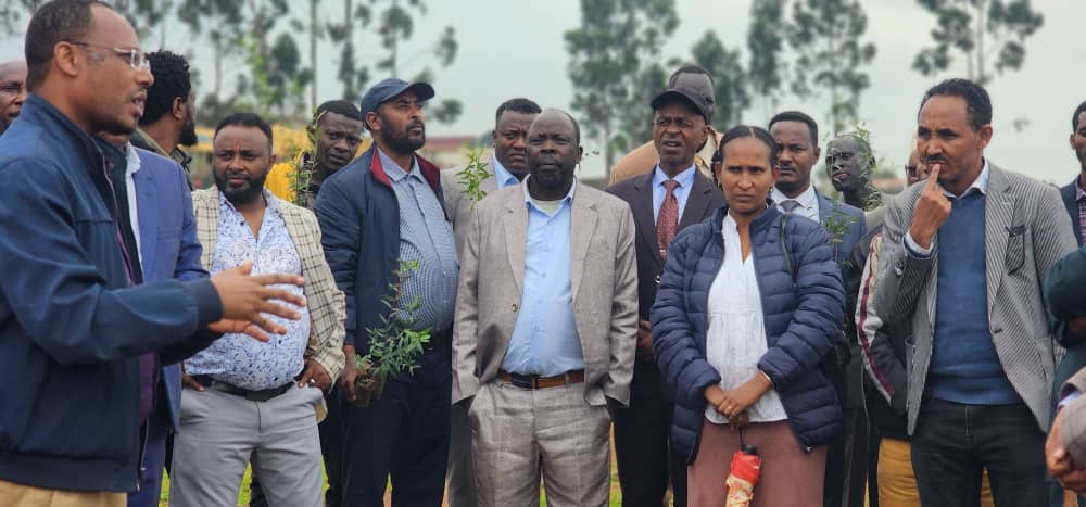 You are currently viewing Political Parties Unite for Greener Future: Planting Footprints at African Leadership Excellence Academy